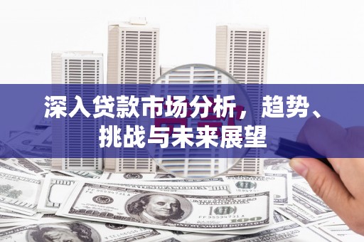 兴海深入贷款市场分析，趋势、挑战与未来展望