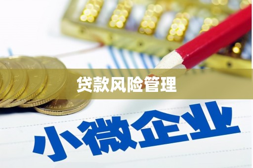 兴海贷款风险管理