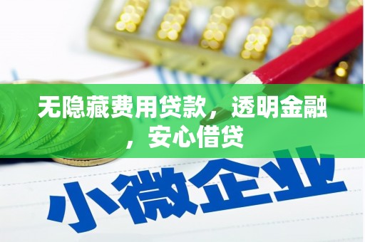 兴海无隐藏费用贷款，透明金融，安心借贷