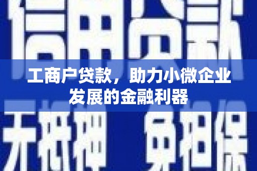 兴海工商户贷款，助力小微企业发展的金融利器