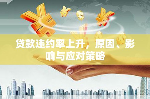 兴海贷款违约率上升，原因、影响与应对策略