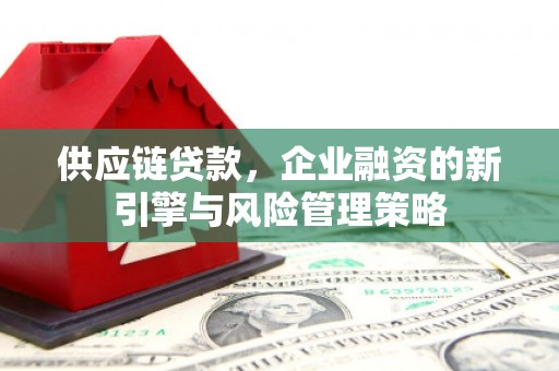 兴海供应链贷款，企业融资的新引擎与风险管理策略