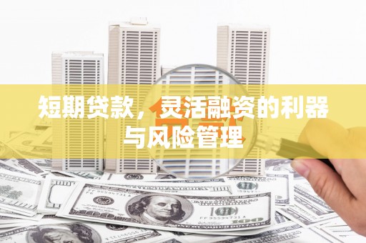 兴海短期贷款，灵活融资的利器与风险管理