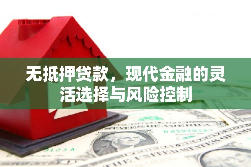 兴海无抵押贷款，现代金融的灵活选择与风险控制