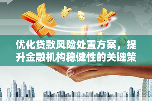 兴海优化贷款风险处置方案，提升金融机构稳健性的关键策略