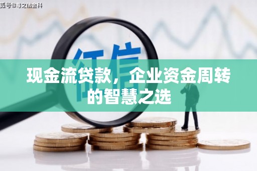 兴海现金流贷款，企业资金周转的智慧之选