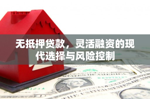 兴海无抵押贷款，灵活融资的现代选择与风险控制