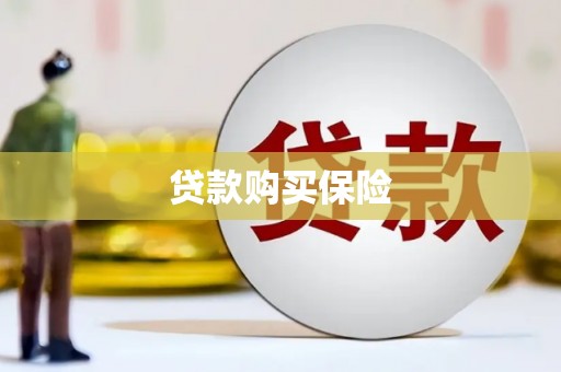 兴海贷款购买保险
