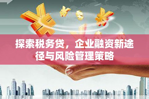 兴海探索税务贷，企业融资新途径与风险管理策略