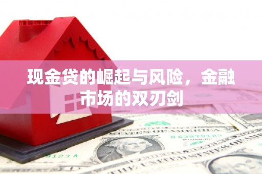 兴海现金贷的崛起与风险，金融市场的双刃剑