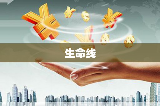 兴海生命线
