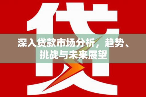 兴海深入贷款市场分析，趋势、挑战与未来展望