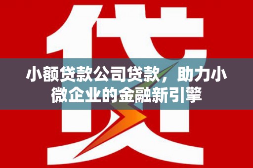 兴海小额贷款公司贷款，助力小微企业的金融新引擎