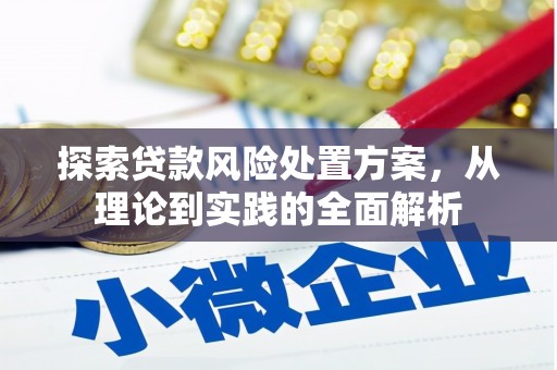 兴海探索贷款风险处置方案，从理论到实践的全面解析