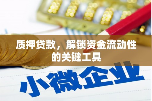 兴海质押贷款，解锁资金流动性的关键工具