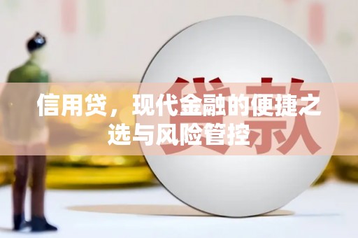兴海信用贷，现代金融的便捷之选与风险管控