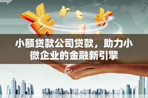 兴海小额贷款公司贷款，助力小微企业的金融新引擎