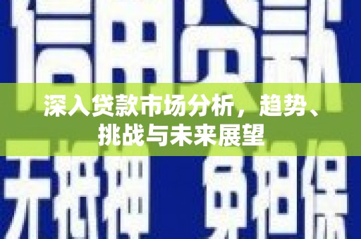 兴海深入贷款市场分析，趋势、挑战与未来展望