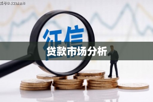 兴海贷款市场分析