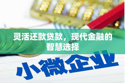 兴海灵活还款贷款，现代金融的智慧选择