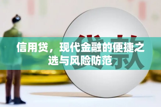 兴海信用贷，现代金融的便捷之选与风险防范