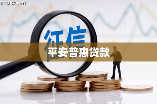 兴海平安普惠贷款