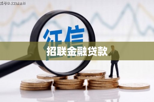 兴海招联金融贷款