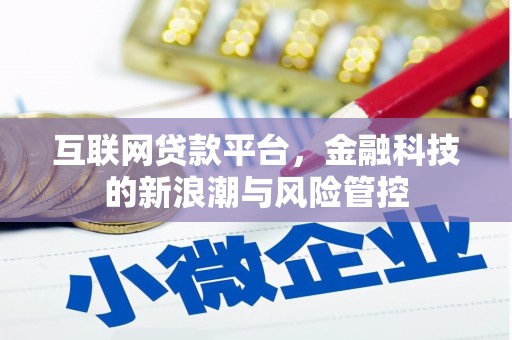兴海互联网贷款平台，金融科技的新浪潮与风险管控