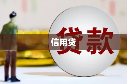 兴海信用贷