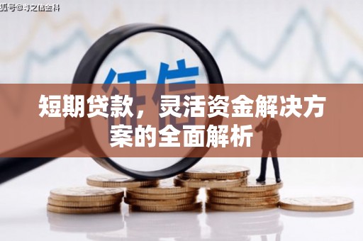 兴海短期贷款，灵活资金解决方案的全面解析