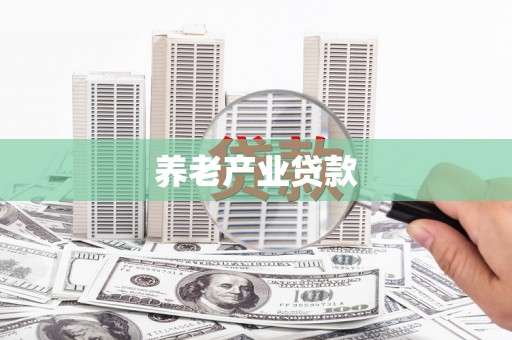 兴海养老产业贷款