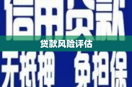 兴海贷款风险评估