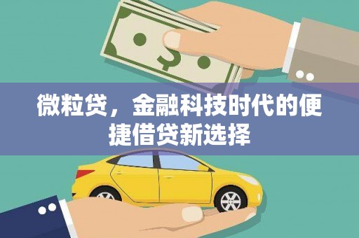 兴海微粒贷，金融科技时代的便捷借贷新选择