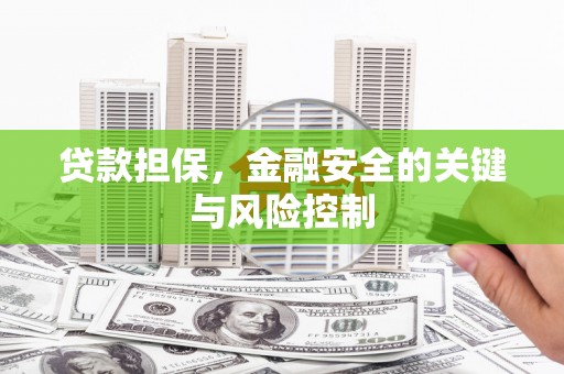 兴海贷款担保，金融安全的关键与风险控制