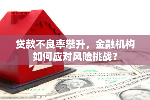 兴海贷款不良率攀升，金融机构如何应对风险挑战？