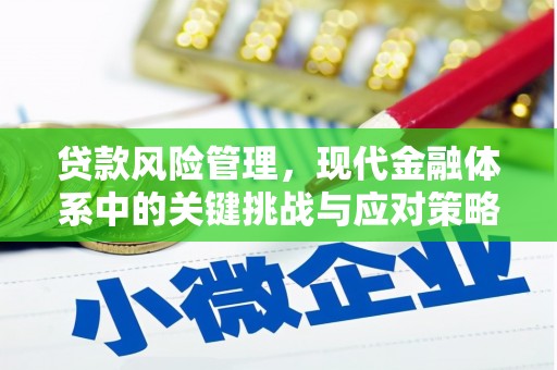 兴海贷款风险管理，现代金融体系中的关键挑战与应对策略