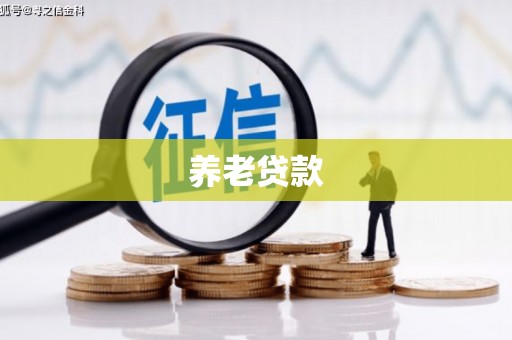 兴海养老贷款