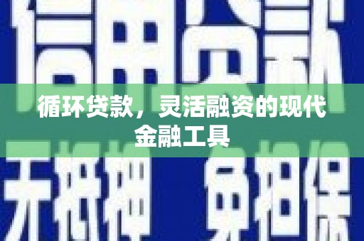 兴海循环贷款，灵活融资的现代金融工具