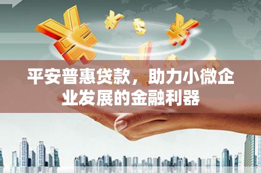 兴海平安普惠贷款，助力小微企业发展的金融利器