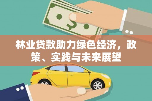 兴海林业贷款助力绿色经济，政策、实践与未来展望