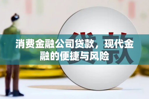 兴海消费金融公司贷款，现代金融的便捷与风险