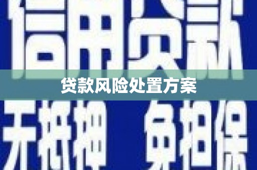 兴海贷款风险处置方案