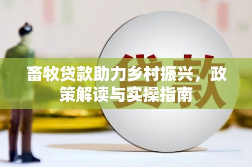 兴海畜牧贷款助力乡村振兴，政策解读与实操指南