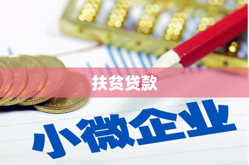 兴海扶贫贷款