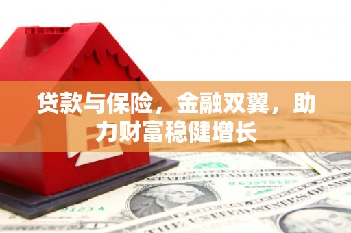 兴海贷款与保险，金融双翼，助力财富稳健增长