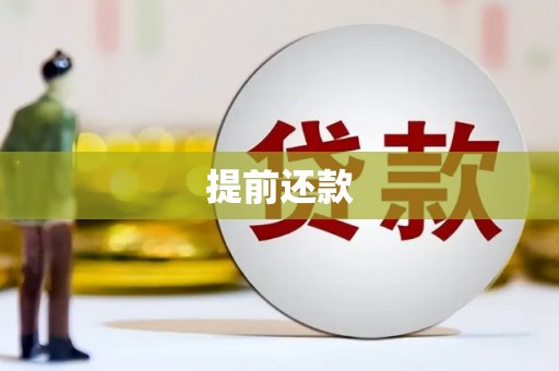兴海提前还款