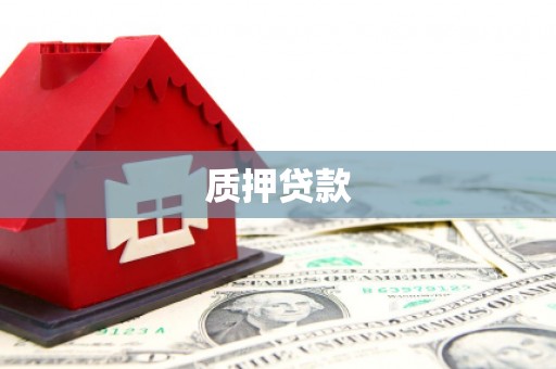 兴海质押贷款