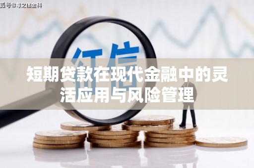 兴海短期贷款在现代金融中的灵活应用与风险管理
