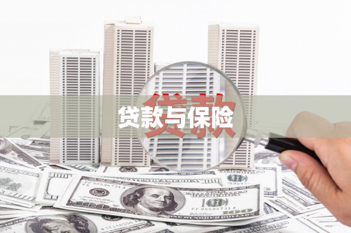 兴海贷款与保险