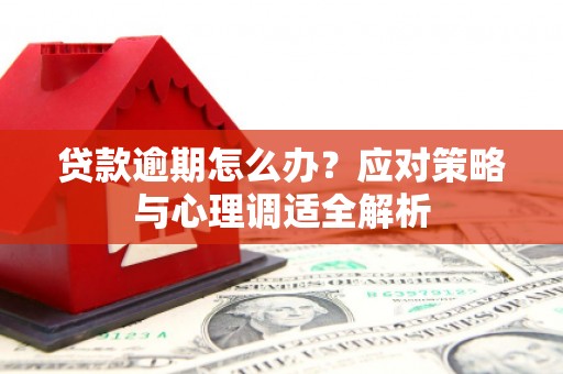 兴海贷款逾期怎么办？应对策略与心理调适全解析